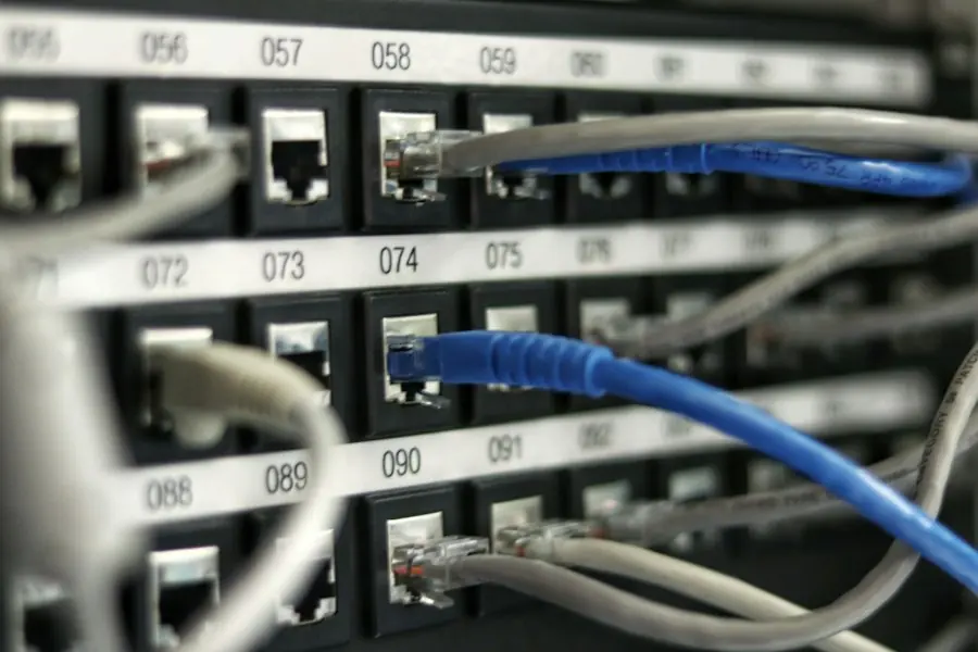 Network cable plugged into a patch panel